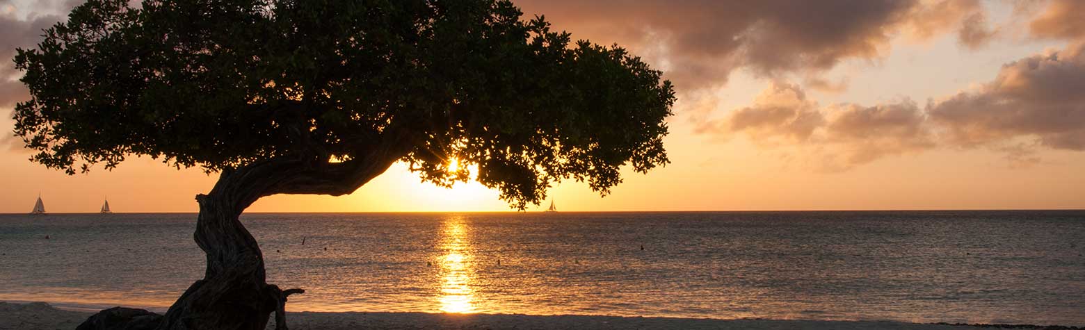 Divi Aruba All Inclusive in Druif Beach, Aruba