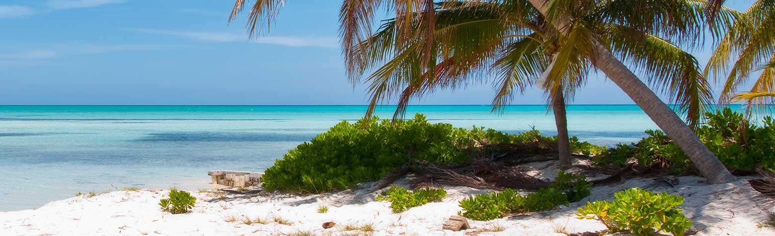 Grand Cayman Marriott Resort in Grand Cayman, Cayman Islands