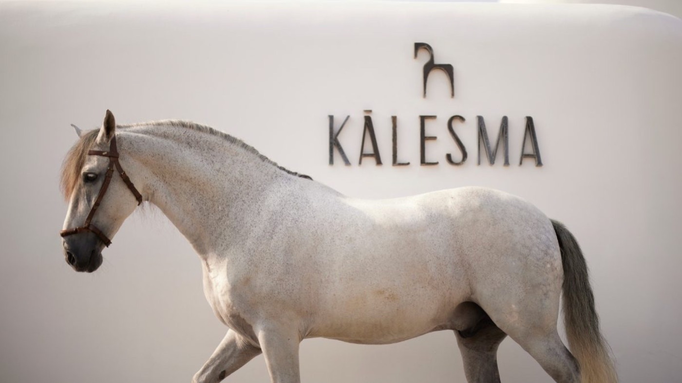 Kalesma Mykonos in Aleomandra, Mykonos, Greece